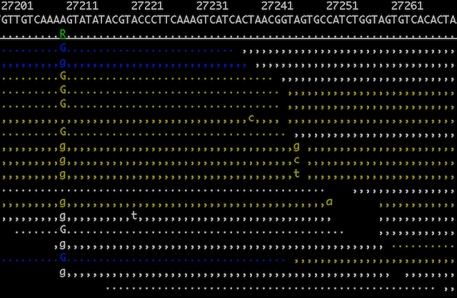 A discussion of RNA-seq expression units